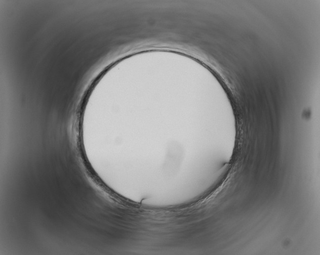 X0000116851511201001191629