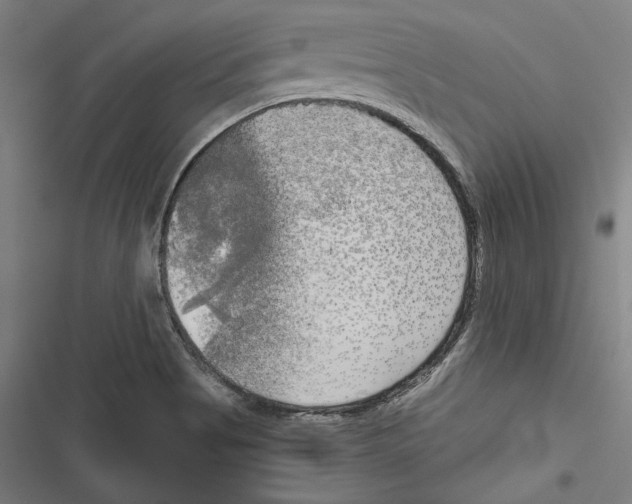 X0000116851513201001191629