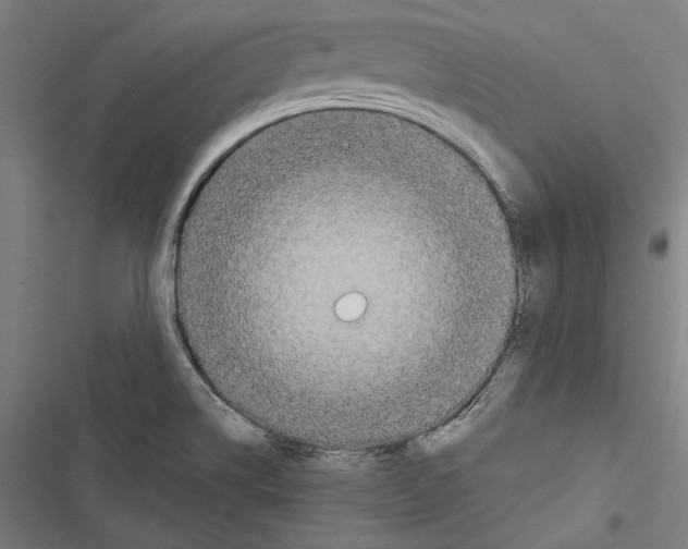 X0000116851514201001191630