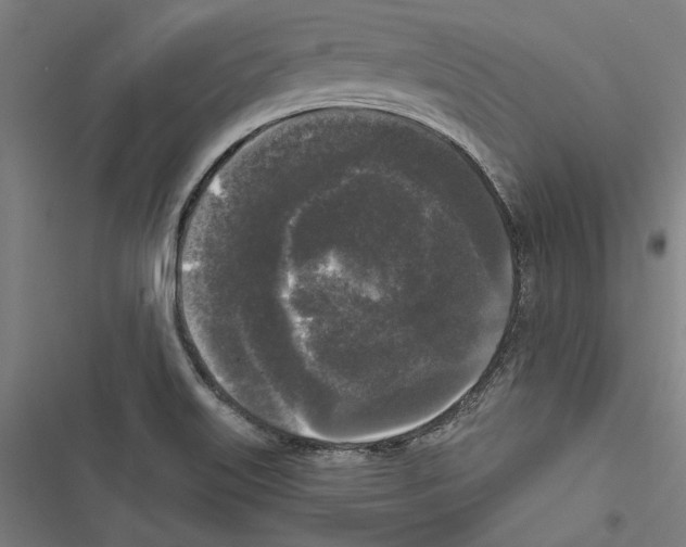 X0000116851515201001191630