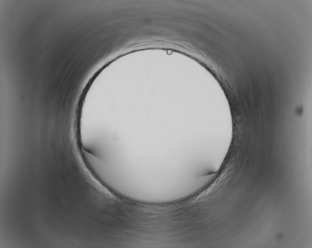 X0000116851518201001191630