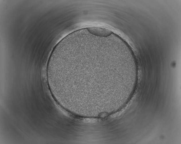 X0000116851521201001191630