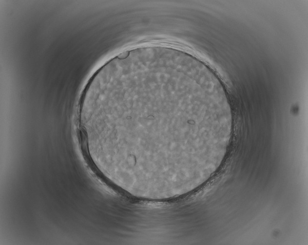 X0000116851522201001191630