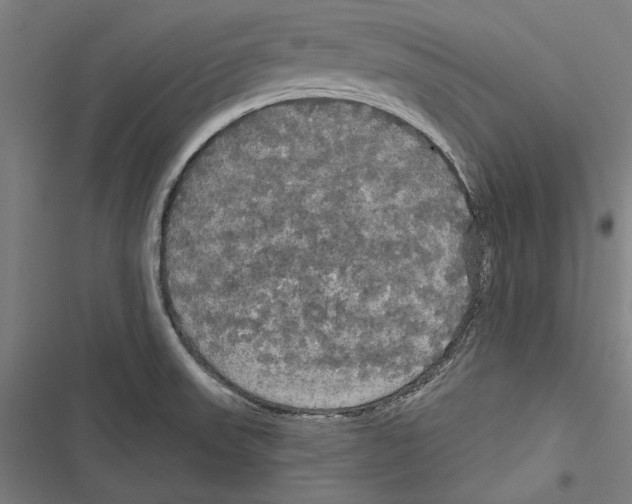 X0000116851523201001191630