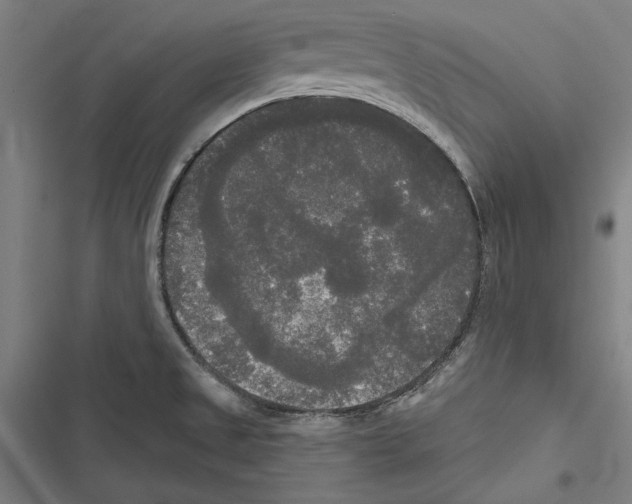 X0000116851525201001191630