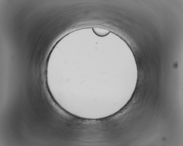 X0000116851526201001191630