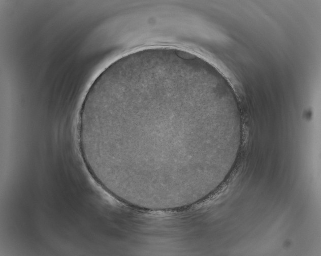 X0000116851527201001191630
