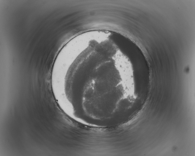 X0000116851529201001191630