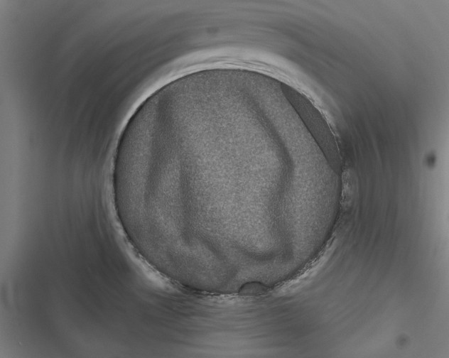 X0000116851530201001191630