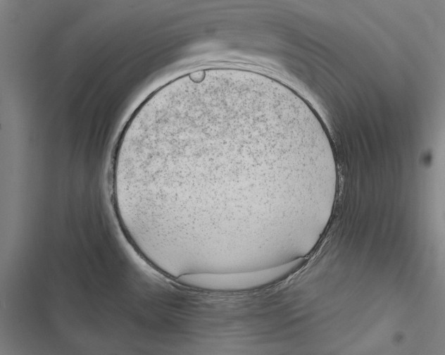 X0000116851531201001191630