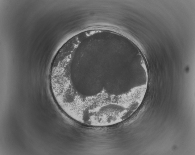X0000116851533201001191630