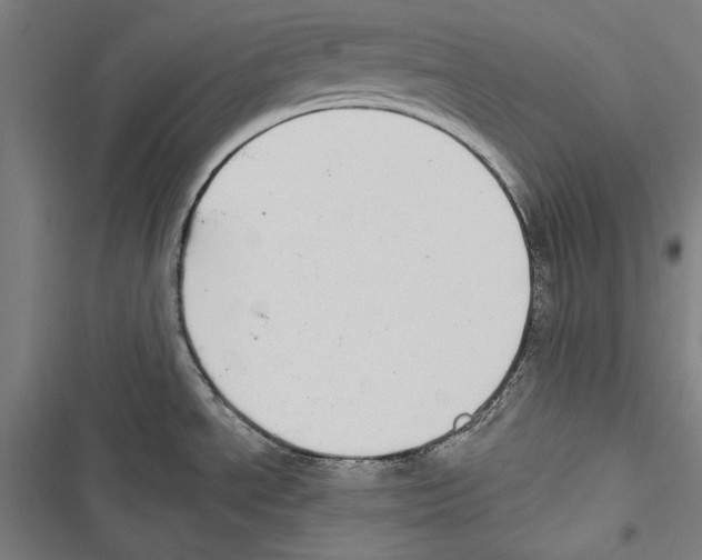 X0000116851534201001191630