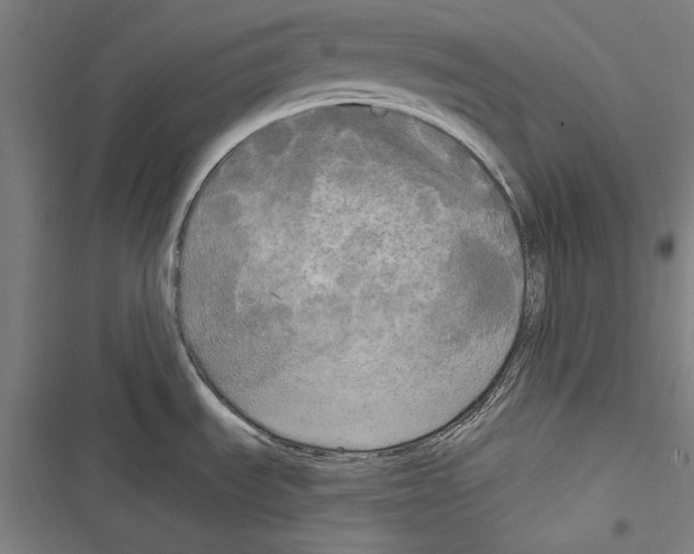 X0000116851535201001191630