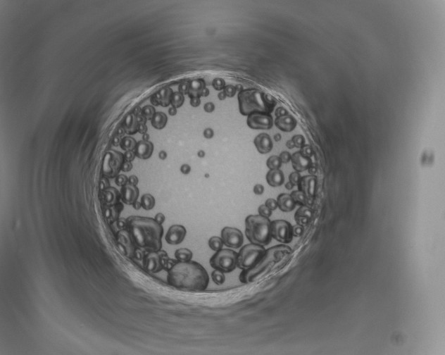 X0000116850001201002021055
