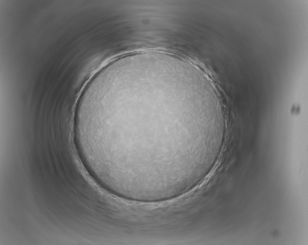 X0000116850002201002021055