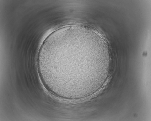 X0000116850003201002021055