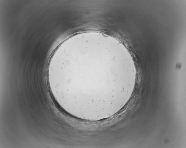 X0000116850004201002021055
