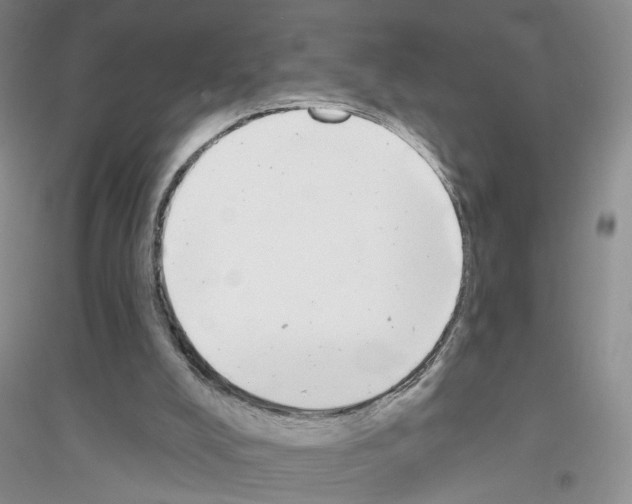 X0000116850008201002021055
