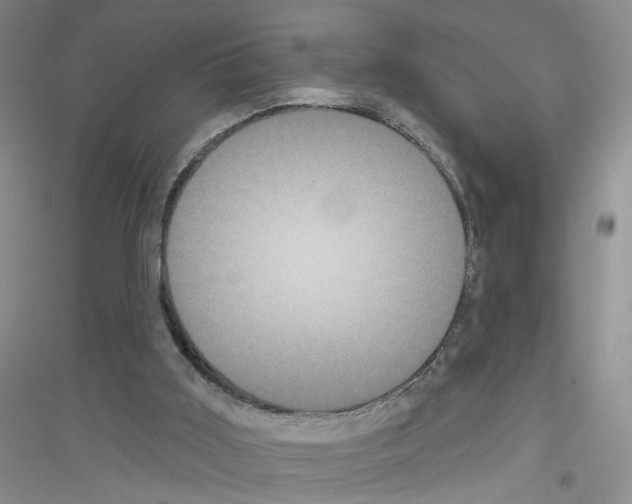 X0000116850011201002021055