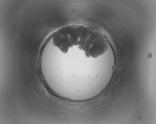 X0000116850012201002021055