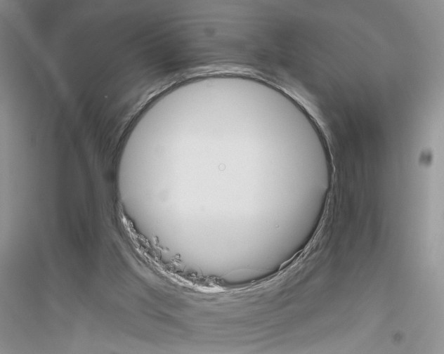 X0000116850013201002021055