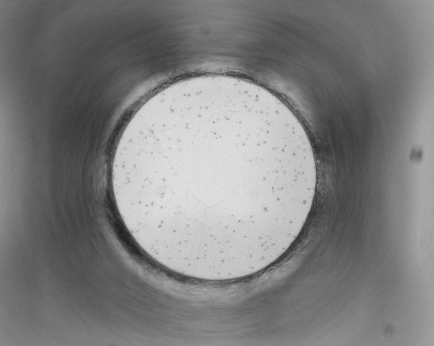 X0000116850016201002021055