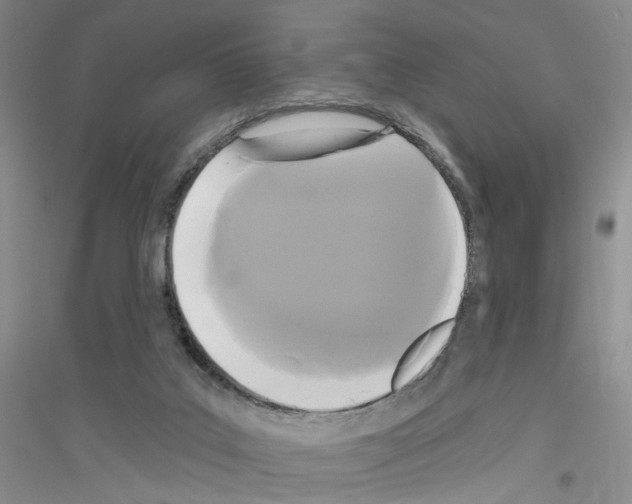 X0000116850019201002021055
