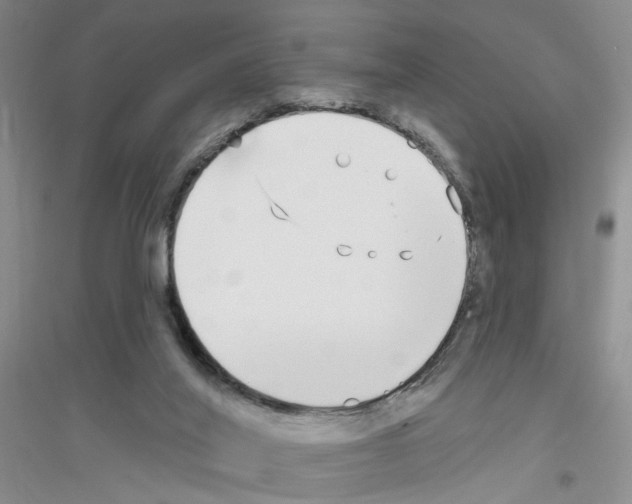 X0000116850020201002021055