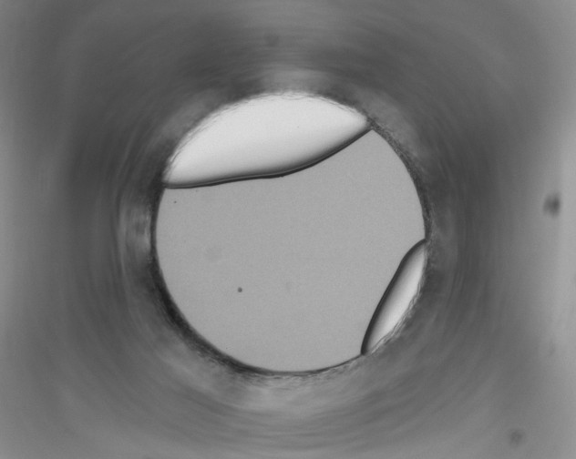 X0000116850021201002021055