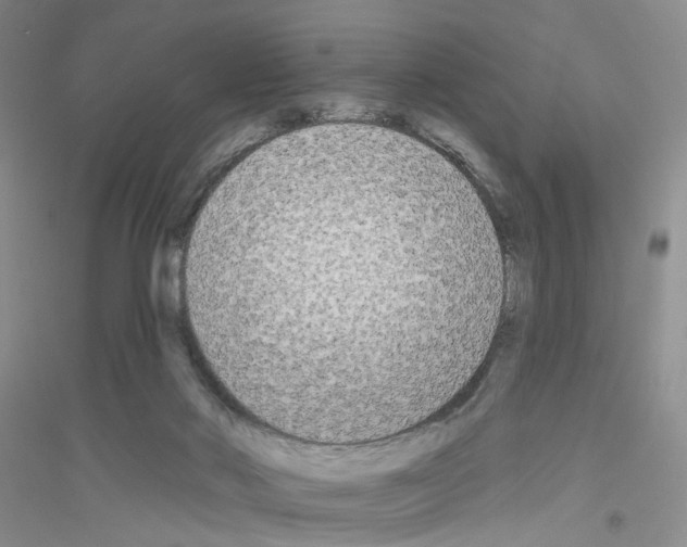 X0000116850022201002021055