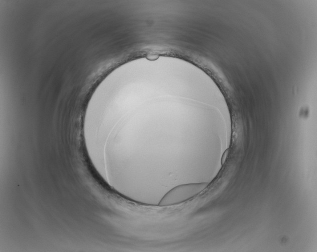 X0000116850023201002021055