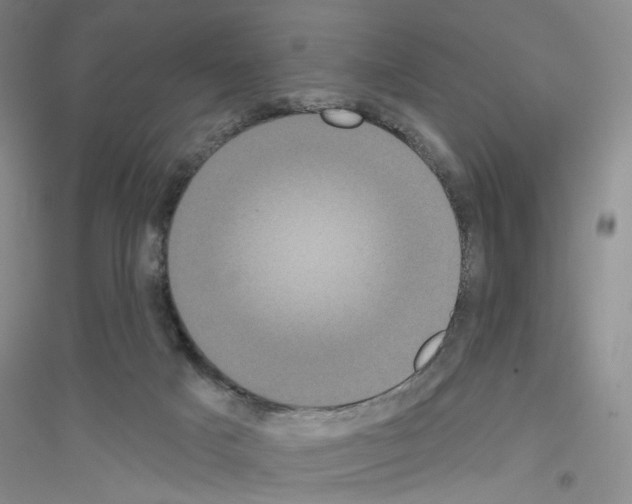 X0000116850025201002021055
