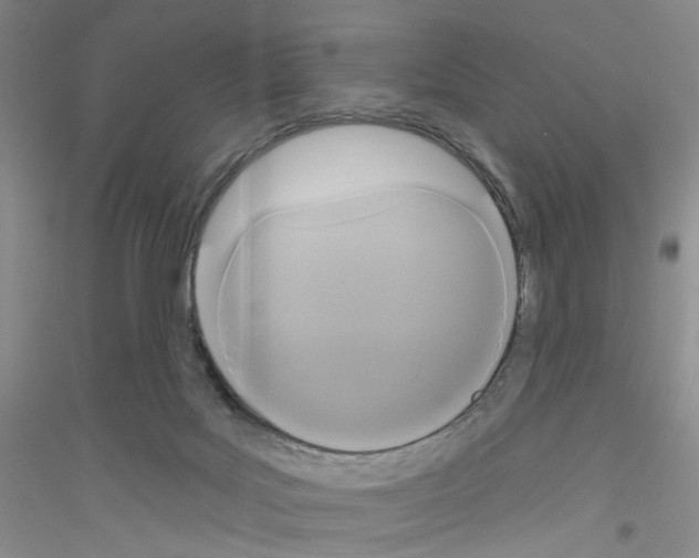 X0000116850027201002021055