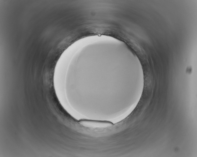 X0000116850031201002021055