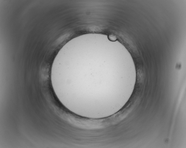 X0000116850032201002021054