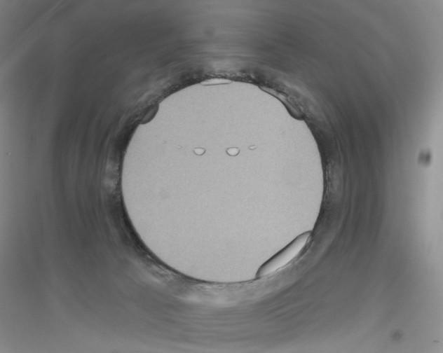 X0000116850033201002021054
