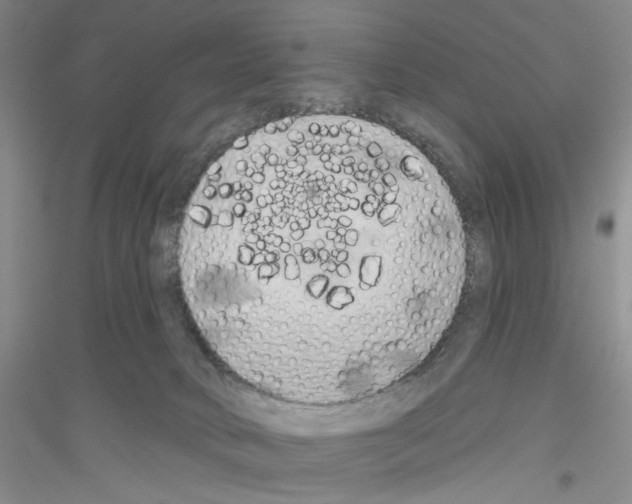 X0000116850034201002021054