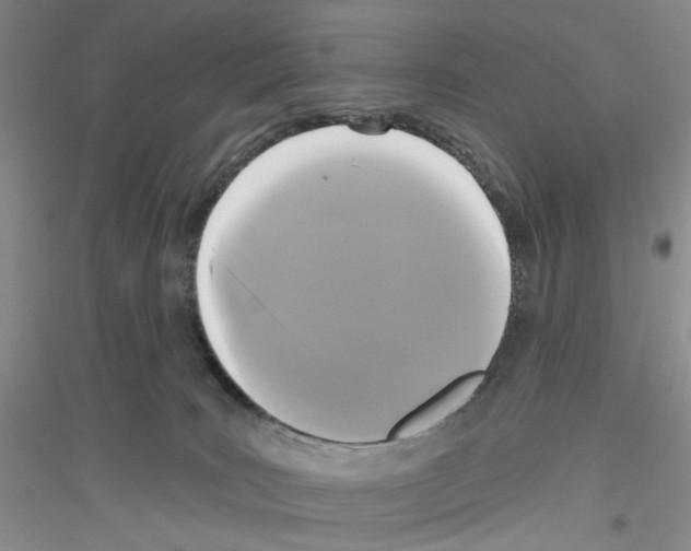 X0000116850035201002021054