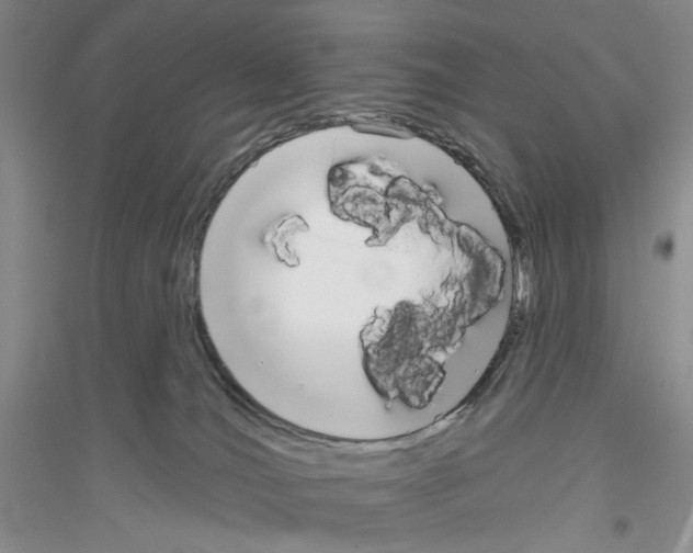X0000116850036201002021054