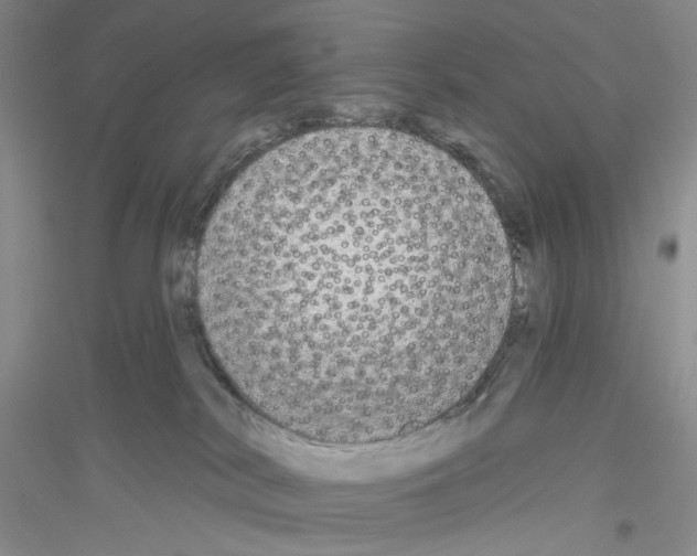 X0000116850038201002021054