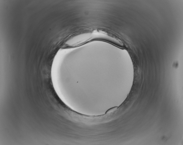 X0000116850039201002021054