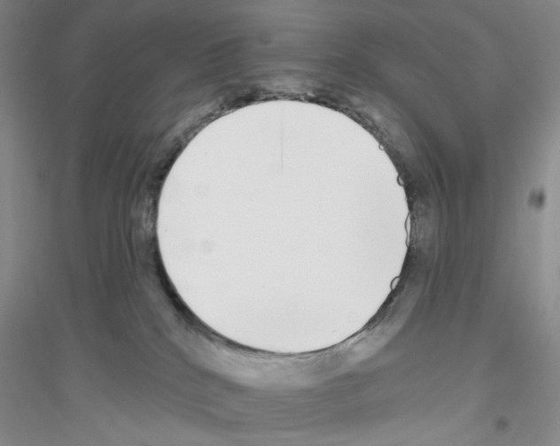 X0000116850040201002021054
