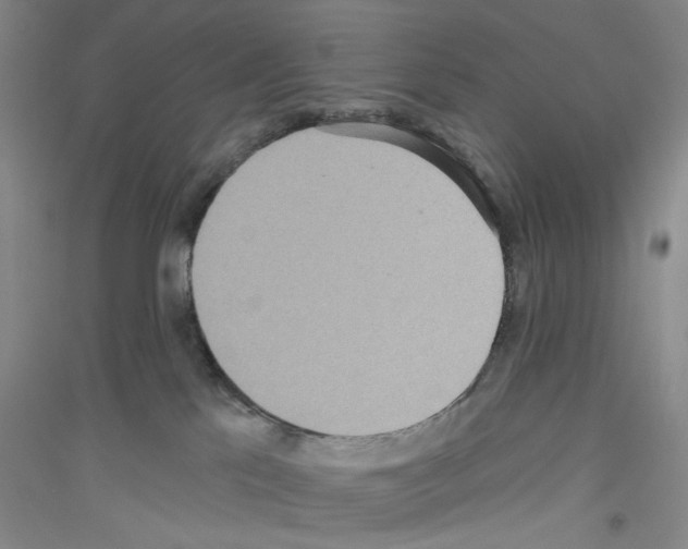 X0000116850041201002021054