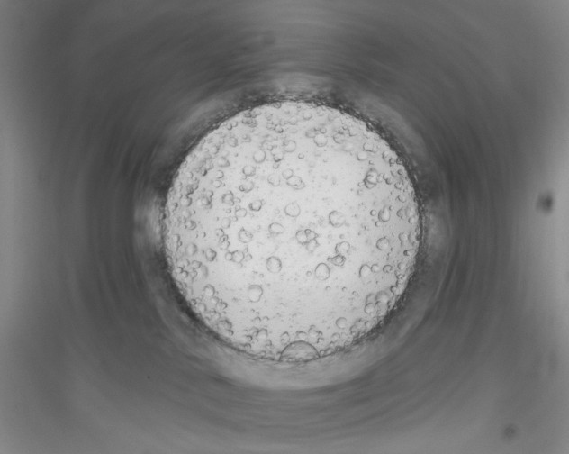 X0000116850042201002021054