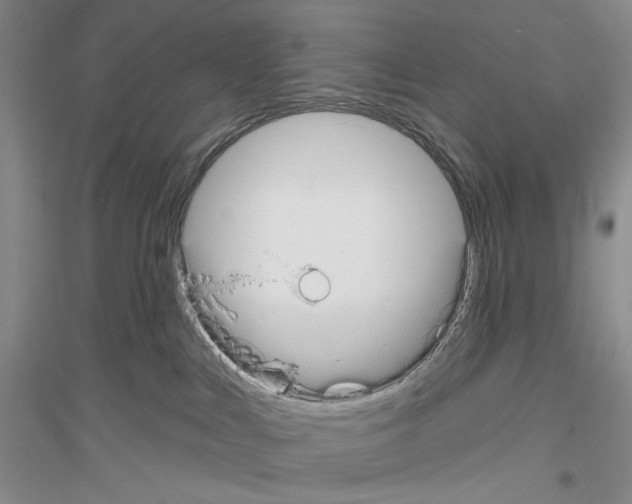 X0000116850043201002021054