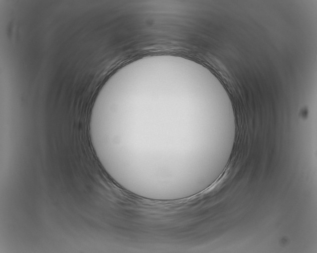 X0000116850045201002021054