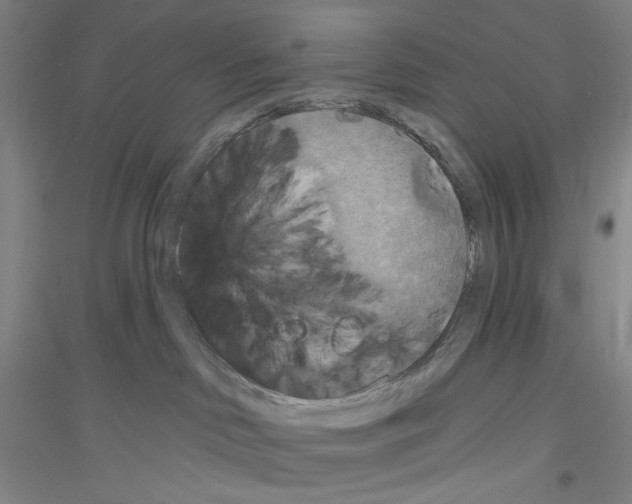 X0000116850046201002021054