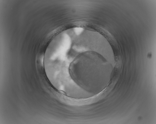 X0000116850047201002021054