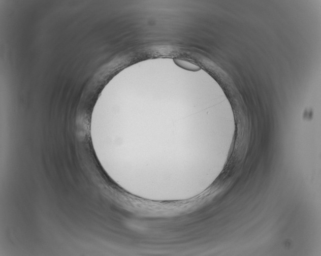 X0000116850048201002021054