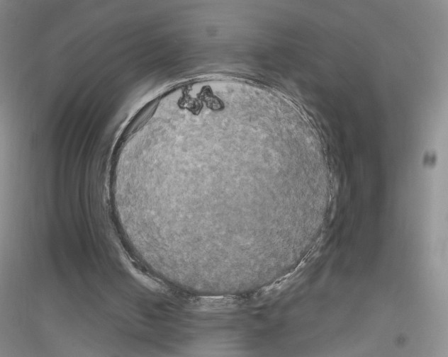 X0000116850050201002021054